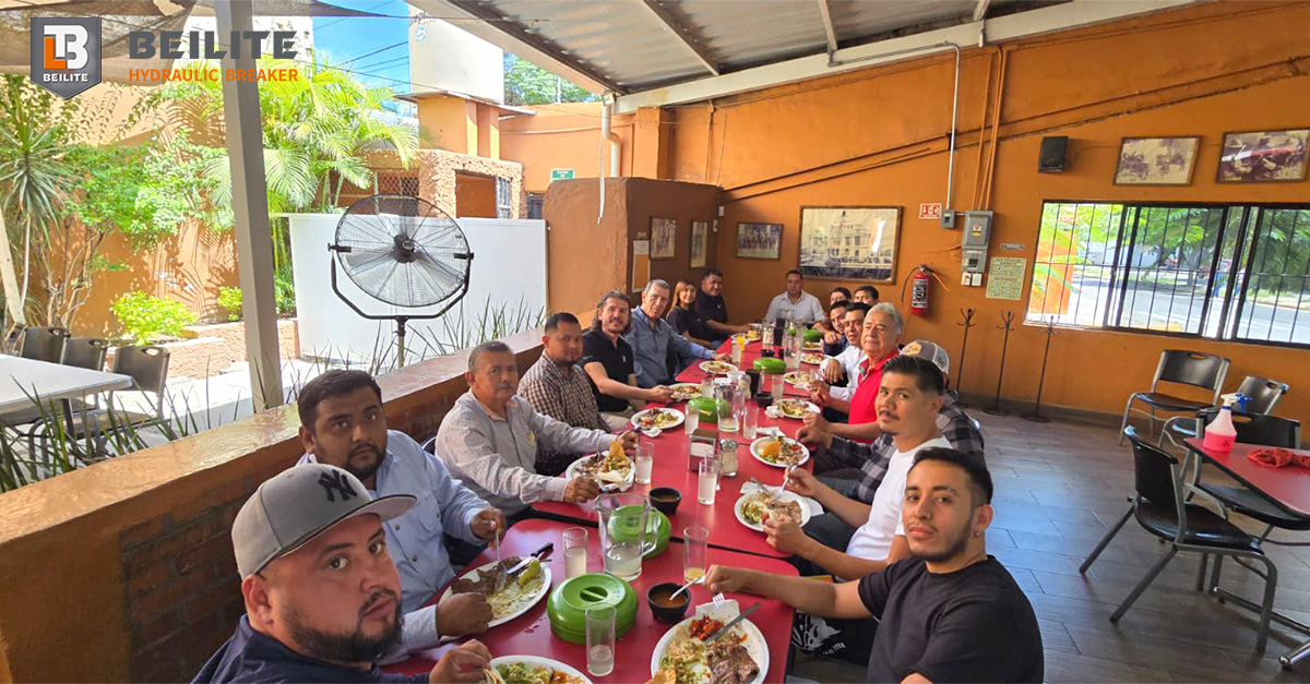 Beilite Mexico's Pro Training is a Big Hit! Beilite Mexico's Pro Training is a Big Hit!